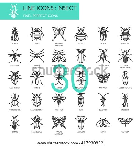 Insect , Thin Line and Pixel Perfect Icons