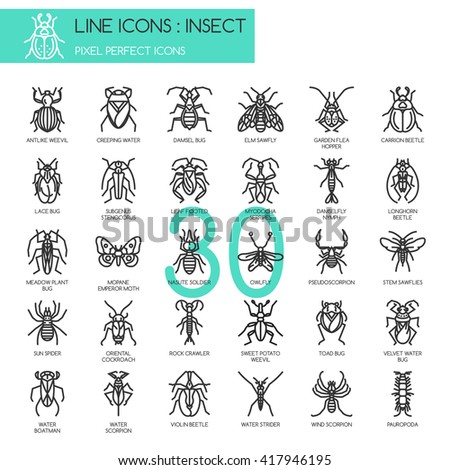 Insect  , Thin Line and Pixel Perfect Icons