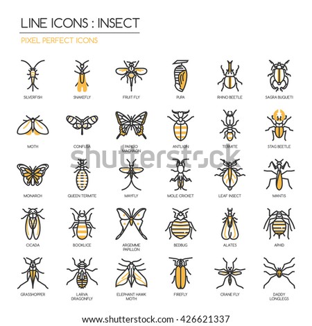 Insect , Thin Line and Pixel Perfect Icons