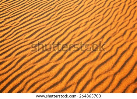 Desert sand background. Golden desert into the sunset