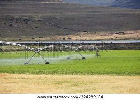 Automatic irrigation system on an agricultural farm in the Northern Cape of South Africa