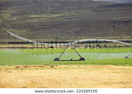 Automatic irrigation system on an agricultural farm in the Northern Cape of South Africa