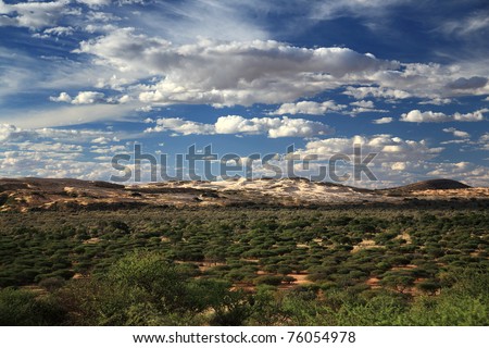 Landscape view of dunes at Witsand Nature Reserve in the Northern Cape of South Africa