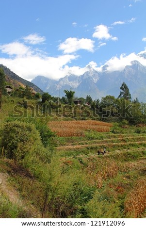 Mountainside farm in the Tiger leaping gorge, China