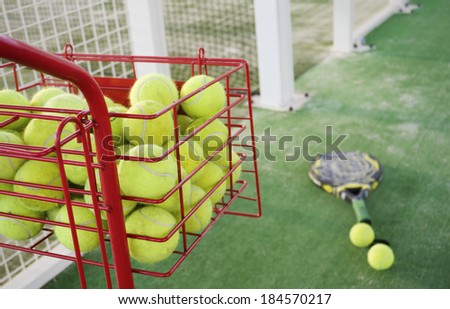 Paddle tennis objects, racket, balls, basket and court.