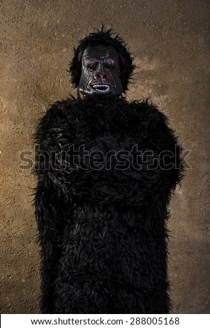 man dressed as gorilla monkey poses with dignity as team mascot, school, halloween or personal taste