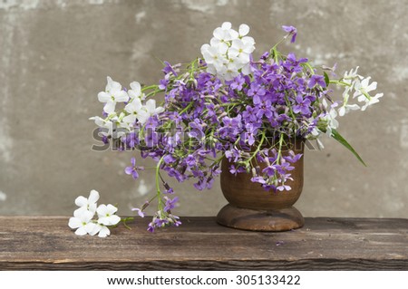 Hesperis matronali flowers at wooden vase