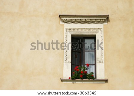 Window with flowers and beige wall in poland