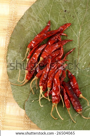 Dry red chillies on dry leaves