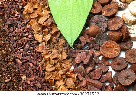 Betel leaf with lots of betel nuts