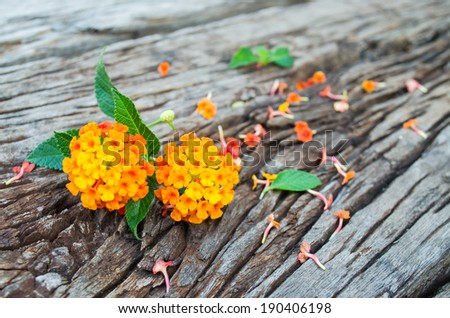 lantana flower on wood ground with falling leafs