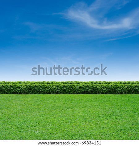 Similar – Image, Stock Photo Green hedge with blue sky and trees on the background, closeup of a hedge home garden in the summer nature