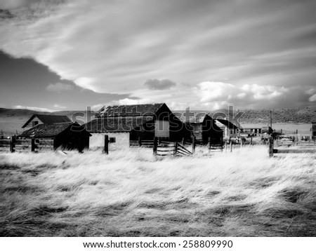 Old wooden houses in ghost town in Colorado, United States, black and white version