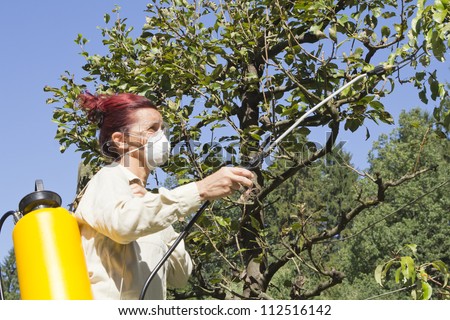 Woman gardener using a sprayer for applying an insecticide or fertilizer to fruit trees, on sunny morning
