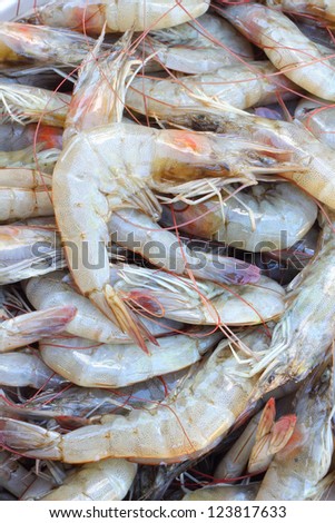 Shrimp background