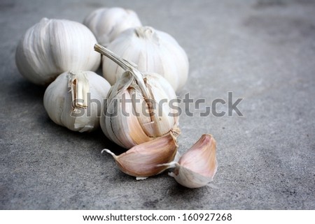 Garlic on the gray background