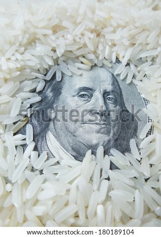 Close up of rice grain and dollar