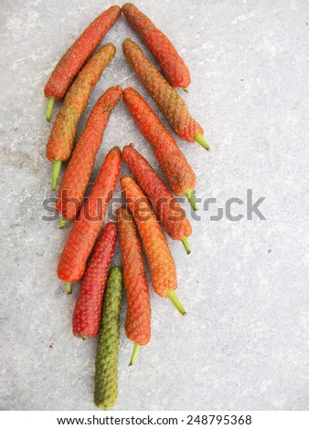 Indian Long Pepper