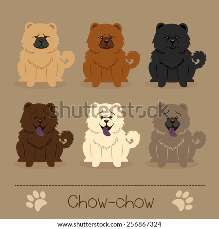 Set of six  different colors Chow-chow. Funny and sad cartoon character.