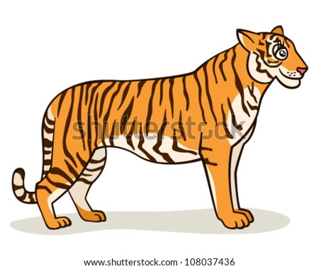 Cute cartoon tiger on isolated white background, vector illustration