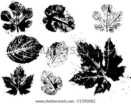 Similar – Image, Stock Photo Rotting leaves Decompose