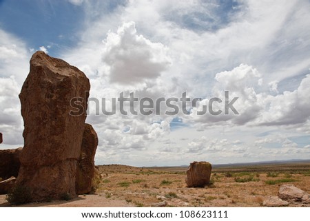 Volcanic rock column in semi-desert cloudscape at City of Rocks state park near Deming, New Mexico, USA/Volcanic Rock Column at City of Rocks State Park, New Mexico, USA/Rock column and clouds