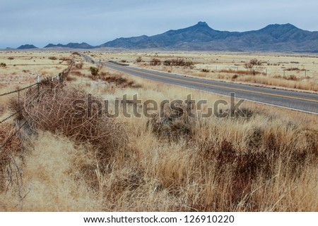 Dry tumbleweed and grasslands along road during semi-desert winter /Dry Tumbleweed and Grasses along Fence and Paved Rural Road in Winter Landscape/Winter grasslands, tumbleweed and mountains