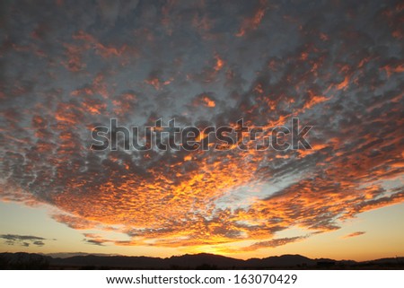 Vast orange speckled clouds form bowl in Autumn sunset sky in semi-desert/Bowl Shape of Autumn Cirrocumulus Clouds/Orange Autumn sunset clouds like a big speckled bowl in blue sky at sunset in desert