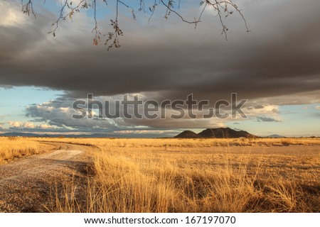 Semi-desert landscape with dark gray cloud formations during Autumn sunset /Stratocumulus Cloudscape over Prairie at Sundown in Autumn/Heavy gray clouds over golden dry grassland at sunset in Fall