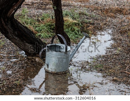 Metal garden watering can in pool of rain water on gray afternoon/Garden Watering Can of Gray Metal stands in Puddle of Rain Water on Wet Cloudy Afternoon/Grey watering can in rain puddle