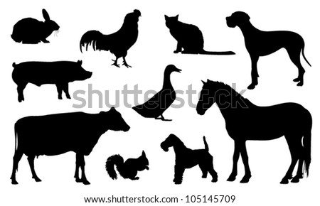 Silhouette animal