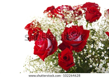 Beautiful red roses bouquet in isolated on white