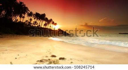 Beautiful colorful sunset over sea and boulders seen under the palms on Sri Lanka. Panorama