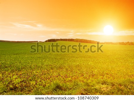 Beautiful sunset in the country over the forest and the field