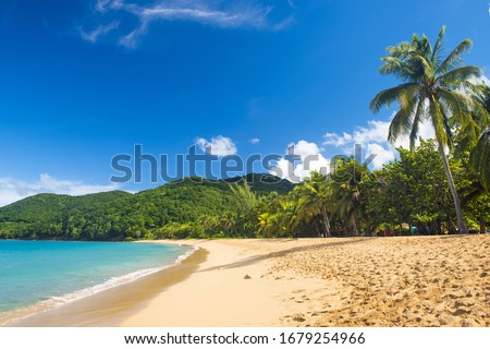 Great beach of Grand Anse near village of Deshaies, Guadeloupe, Caribbean Foto d'archivio © 