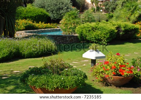 Tropical garden with path, lake and many plant species