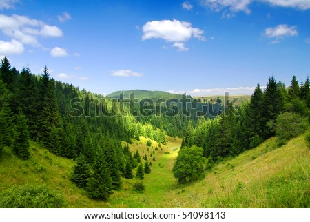 Tatras Mountains covered by green pine forests, Slovakia