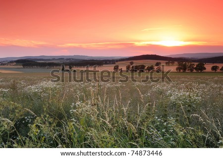 Beautiful sunrise over the blooming meadow full of flowers