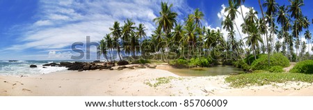 Wide panoramic photo of a tropical paradise on Sri Lanka with palms hanging over the beach and turquoise sea.