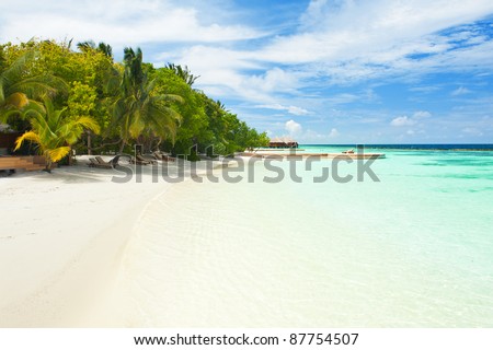 Beautiful tropical paradise in Maldives with coco palms hanging over the white and turquoise sea
