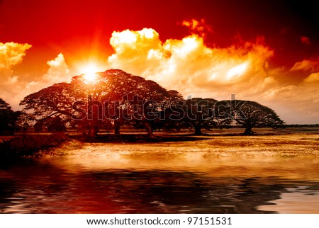 Fantasy sunset over acacia trees reflecting in water in Africa