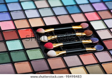 Professional set of various colored eye shadows and eight brushes
