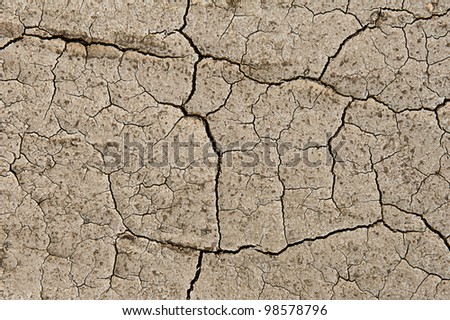 Dry ground with a net of cracks