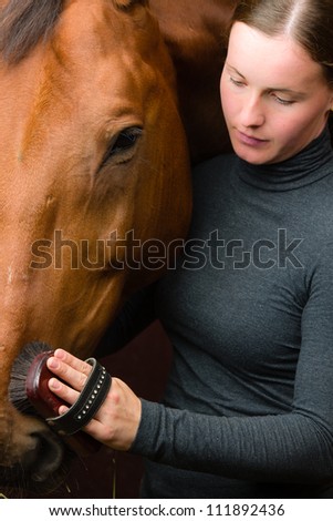 Woman grooming  horse in the stall, vertical format