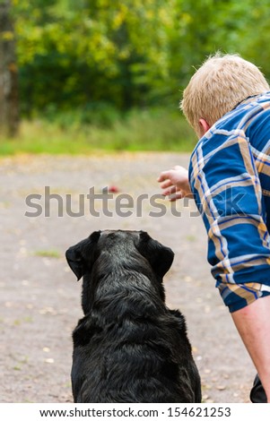 Dog owner trains his labrador retriever on outdoor, vertical format