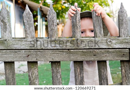 Little Boy Looking Through A Wooden Picket Fence Stock Photo 120669271 ...