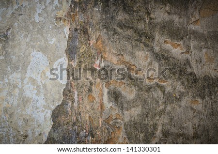 Background texture of a grungy cement wall with wet parts and mold patches