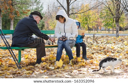 Family consisting of an elderly man, his daughter and her young son sitting on a wooden bench playing chess in the park during autumn with their cat strolling past in the foreground