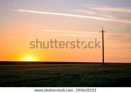 Scenic View of Hydro Poles and Wires Running Alongside Road in Flat Rural Area in Warm Sunrise or Sunset Light, Tranquil Landscape of Country Fields