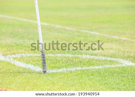soccer play of penalty kick ,green grass,free kick ,green grass ,sunlight ,line portion out on grass